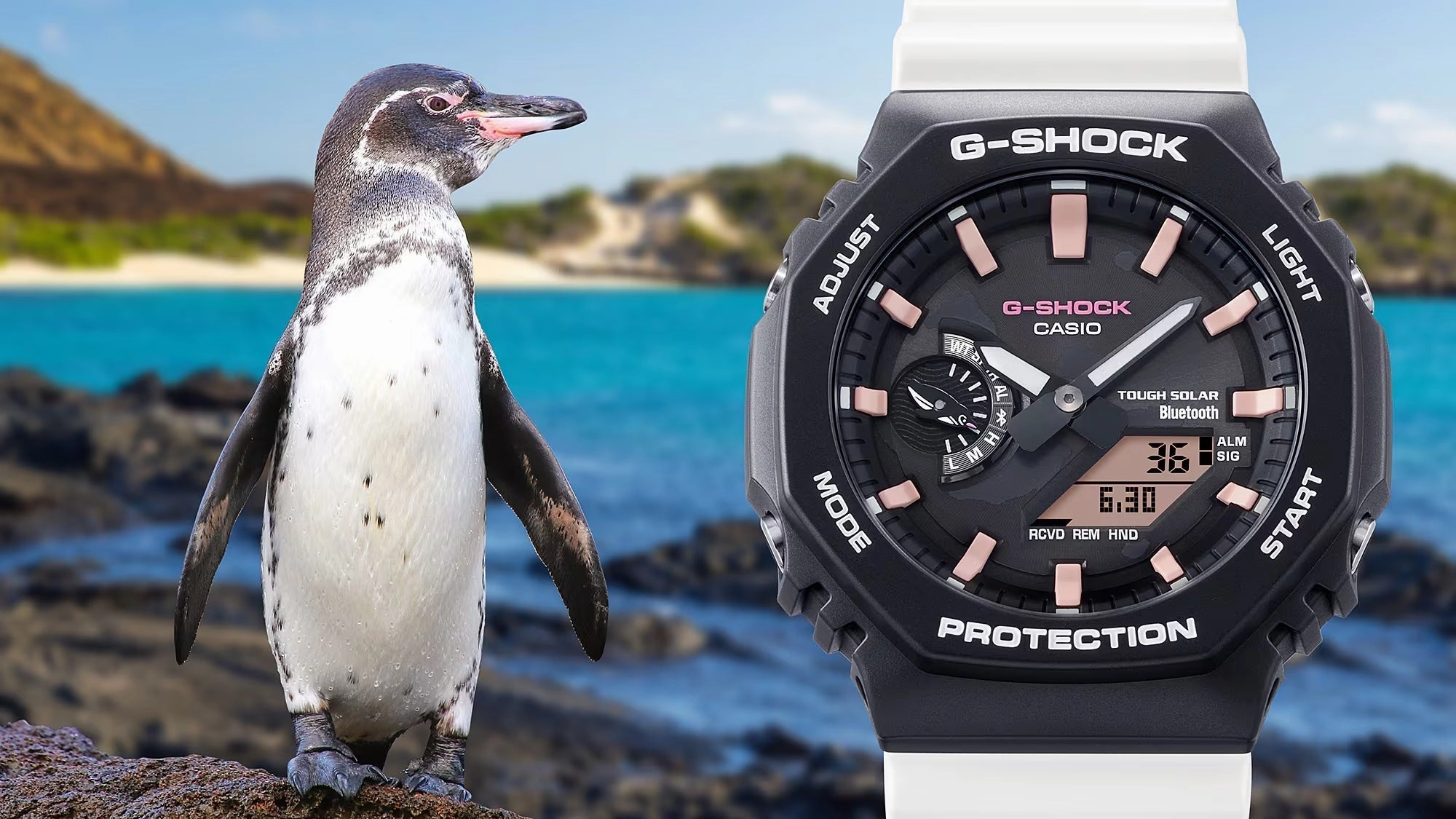Casio G-SHOCK x GALAPAGOS CHARLES DARWIN FNDN Ana-Digi Mens Watch GAB2100CD-1A7