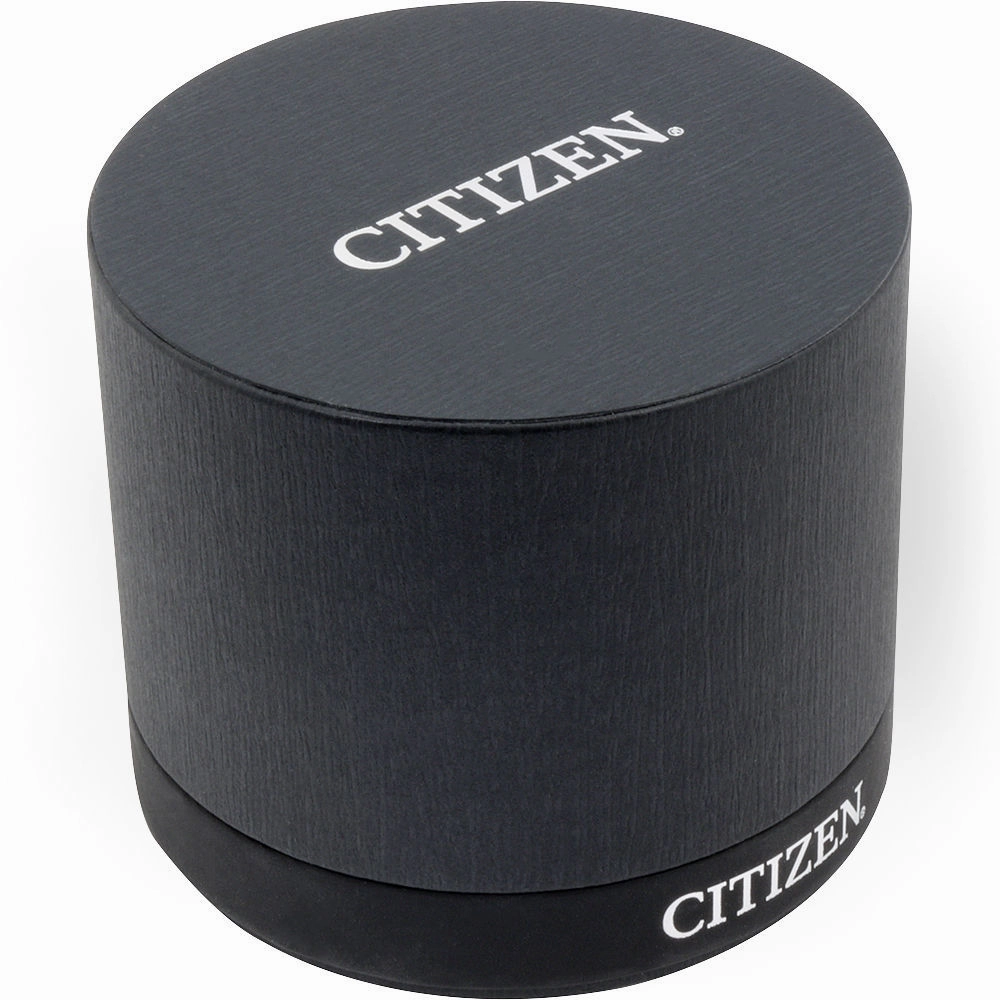 Citizen Analog Casual Eco-Drive Beige Au1080-20A Mens Watch