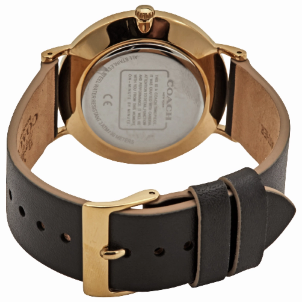 COACH PERRY 14503440 WOMEN'S WATCH