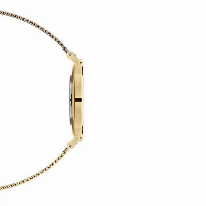 Daniel Wellington DW00100346 Petite Evergold