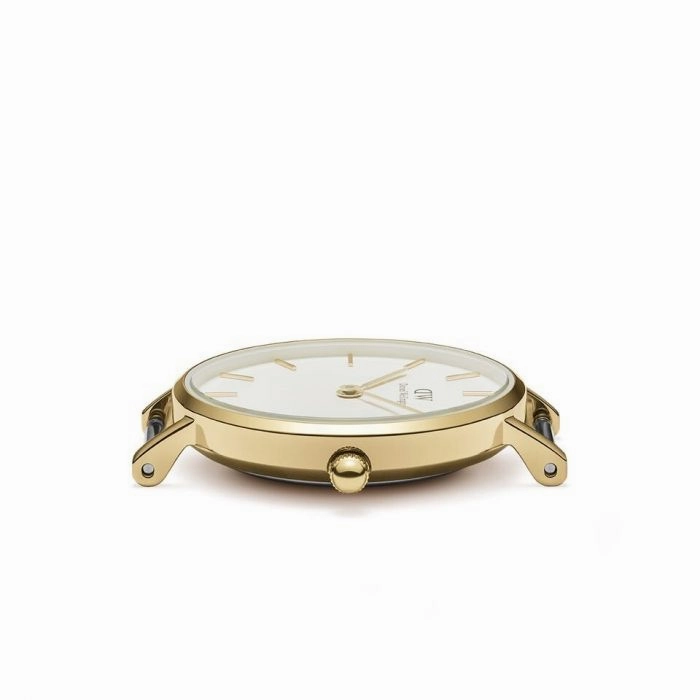 Daniel Wellington Petite Evergold DW00100350