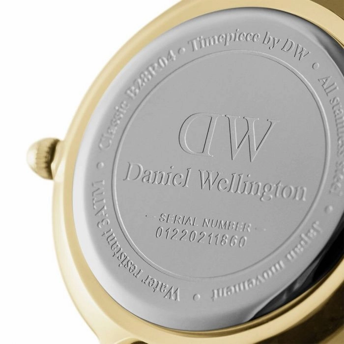 Daniel Wellington Petite Evergold DW00100350