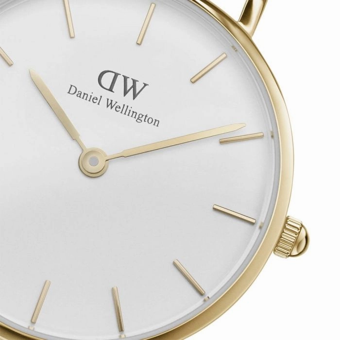 Daniel Wellington Petite Evergold DW00100350