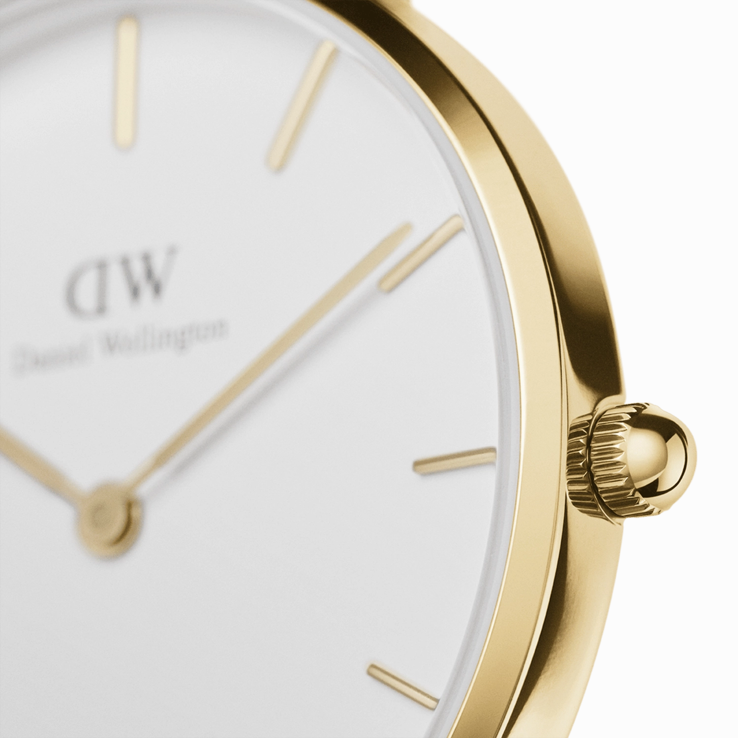 Daniel Wellington Petite St Mawes 32mm Watch DW00100550