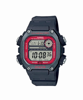 DW-291H-1BVDF