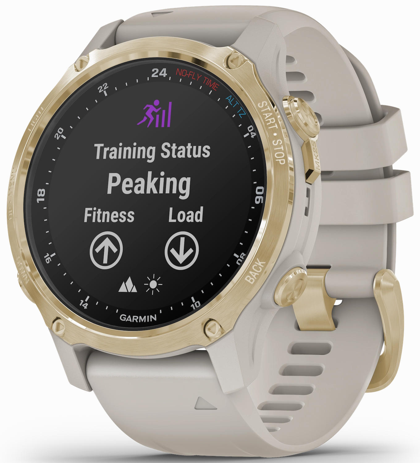 Garmin Watch Descent MK2S Light Gold