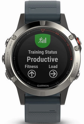 Garmin Watch Fenix 5 Silver