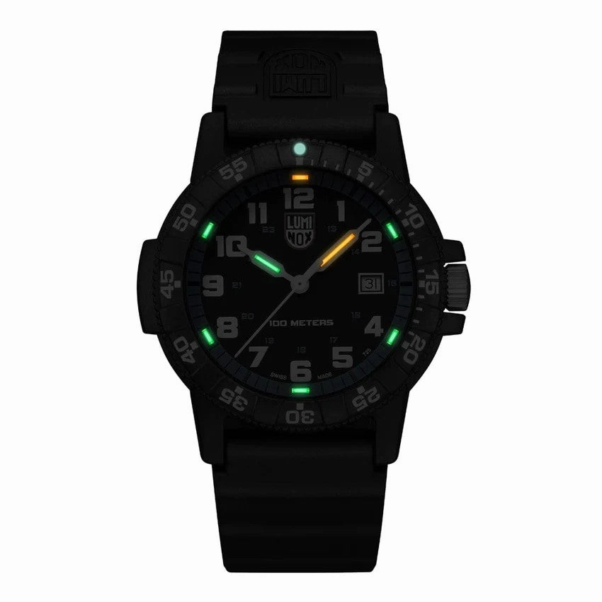 Leatherback Sea Turtle Giant Outdoor Watch, 44 mm