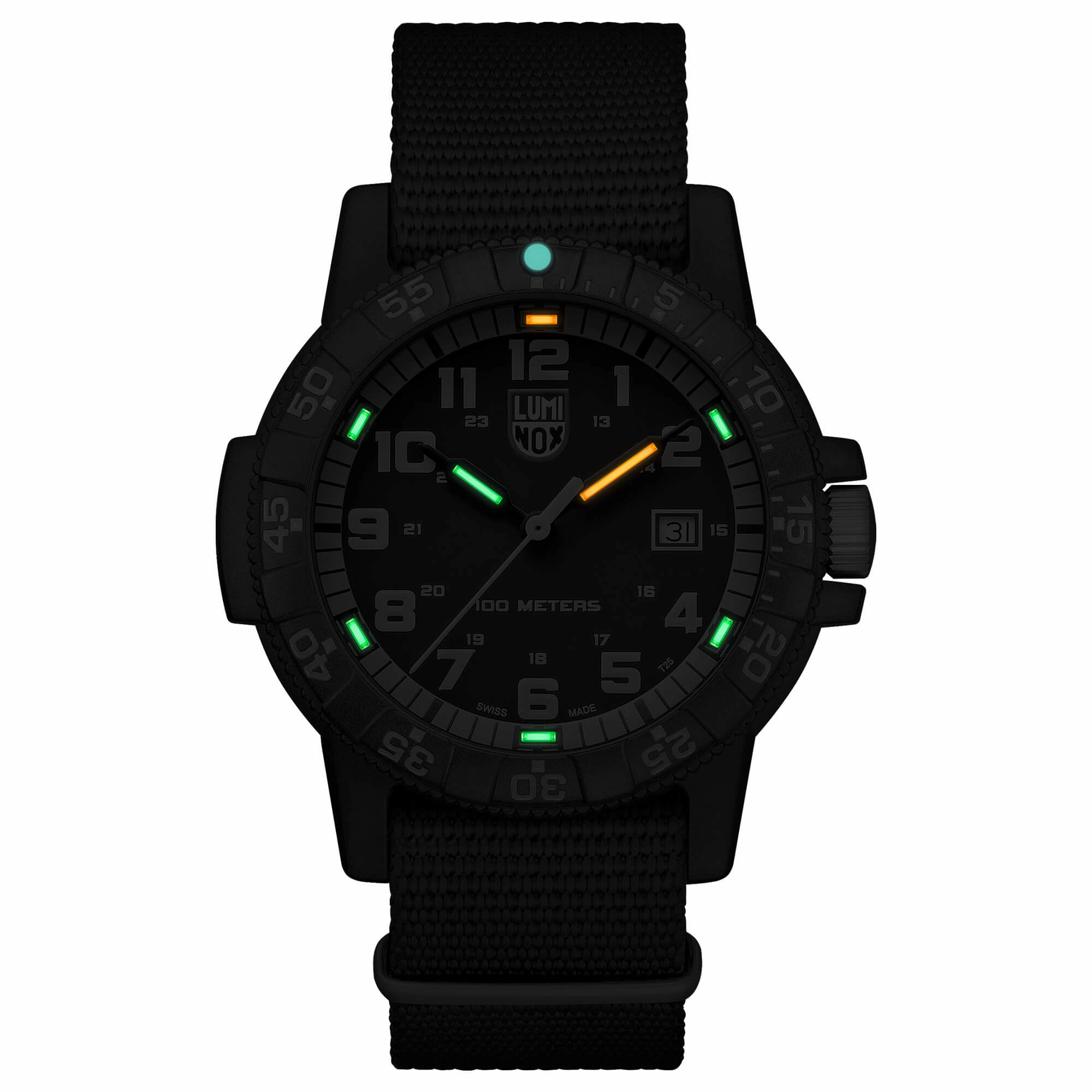 Luminox Men's Quartz Watch - Sea Turtle Giant 0320 Series Black Nylon Strap | 0333