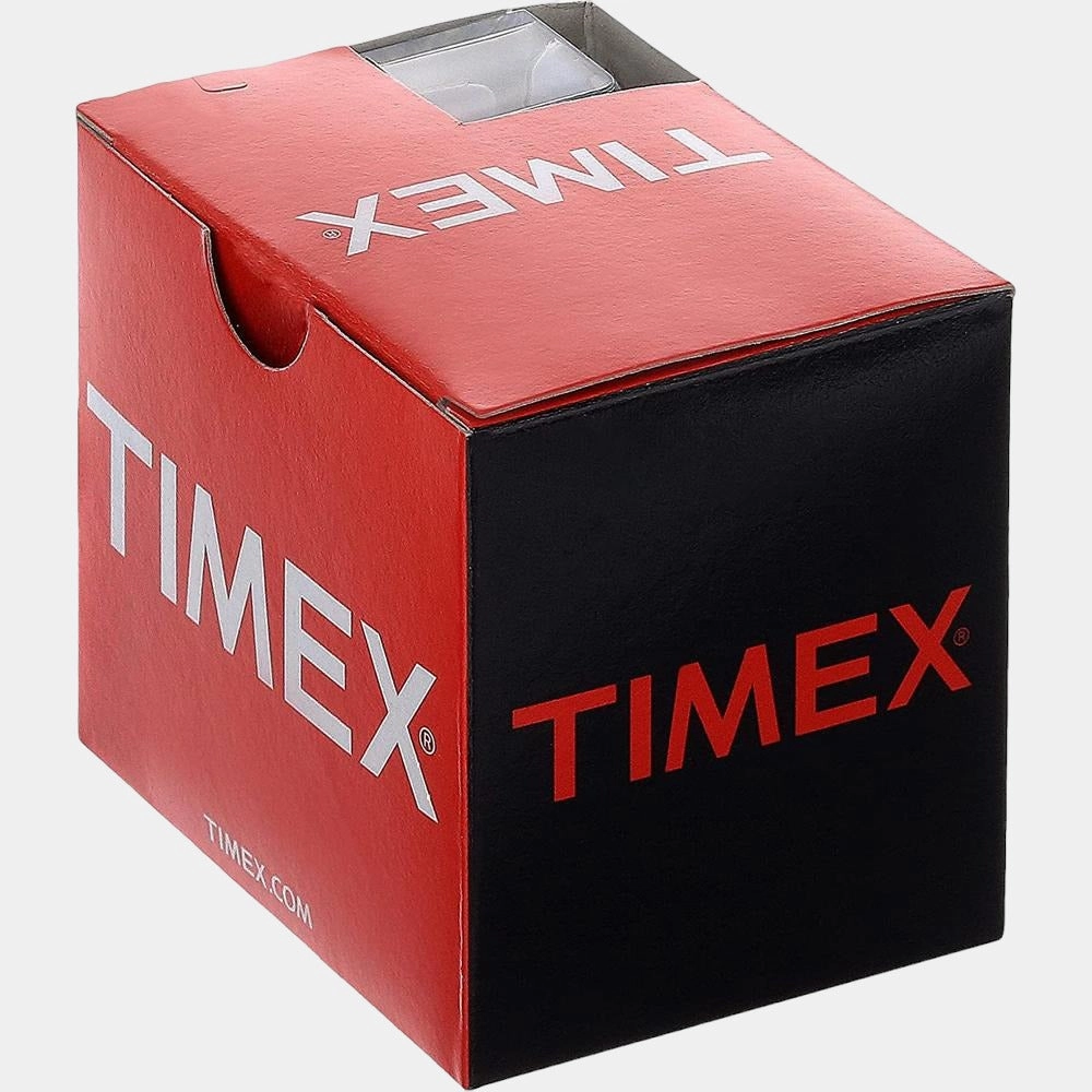Men's Black Analog Stainless Steel Watch TWEG18408