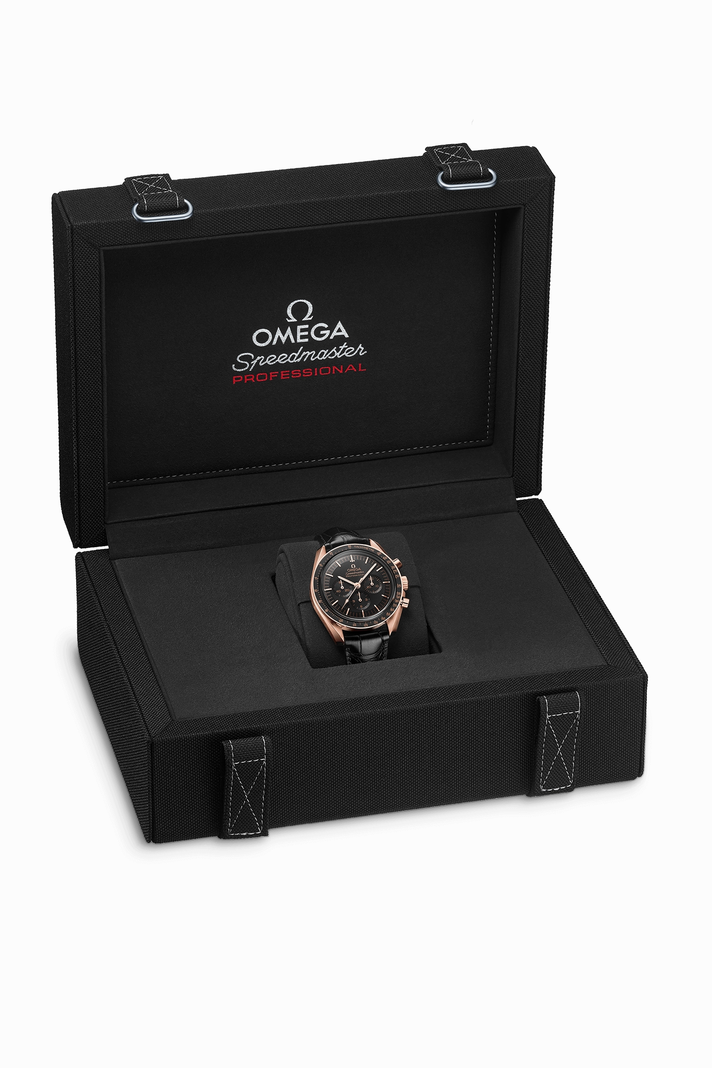 OMEGA Moonwatch Professional CoAxial Master Chronometer Chronograph 42 MM