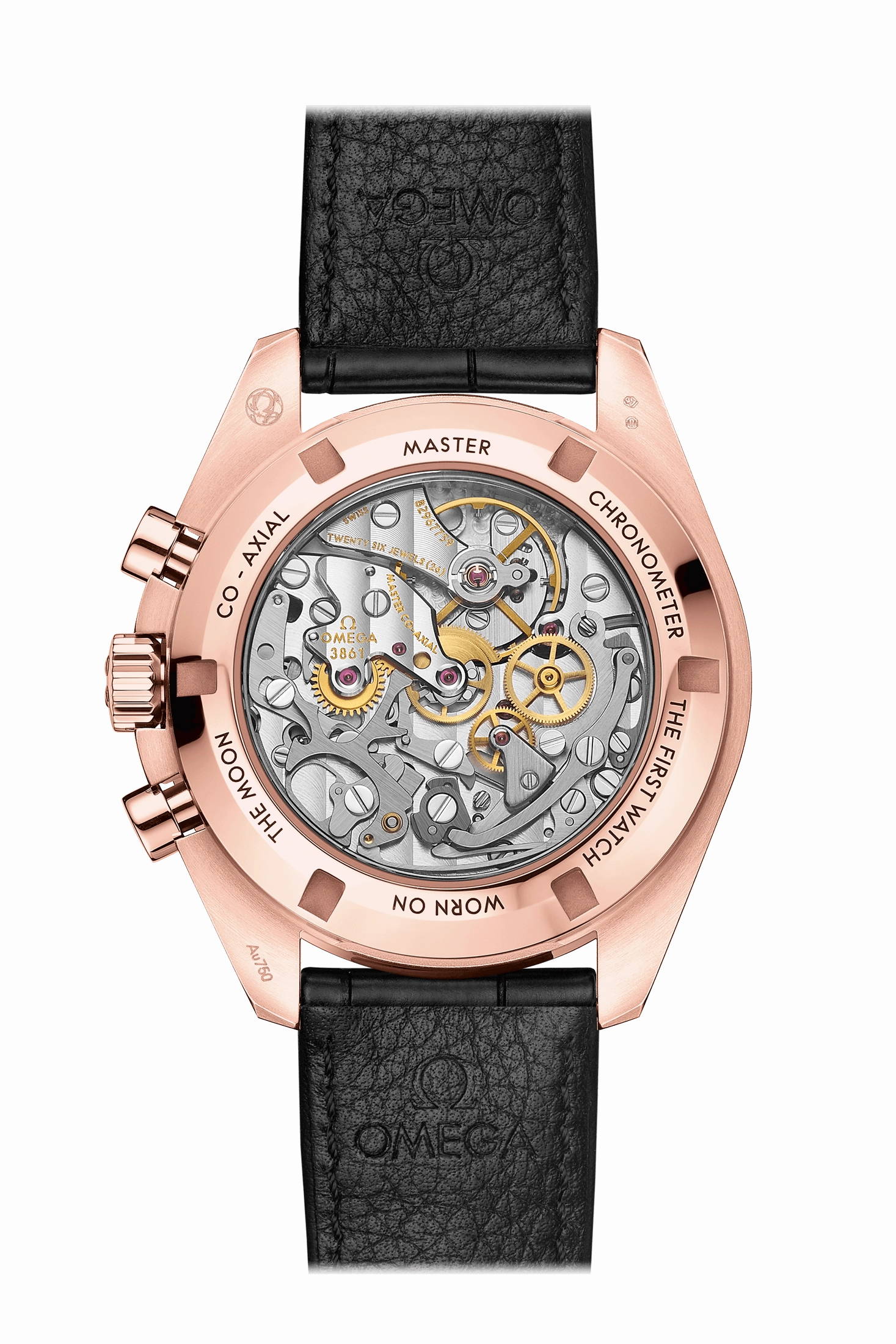 OMEGA Moonwatch Professional CoAxial Master Chronometer Chronograph 42 MM
