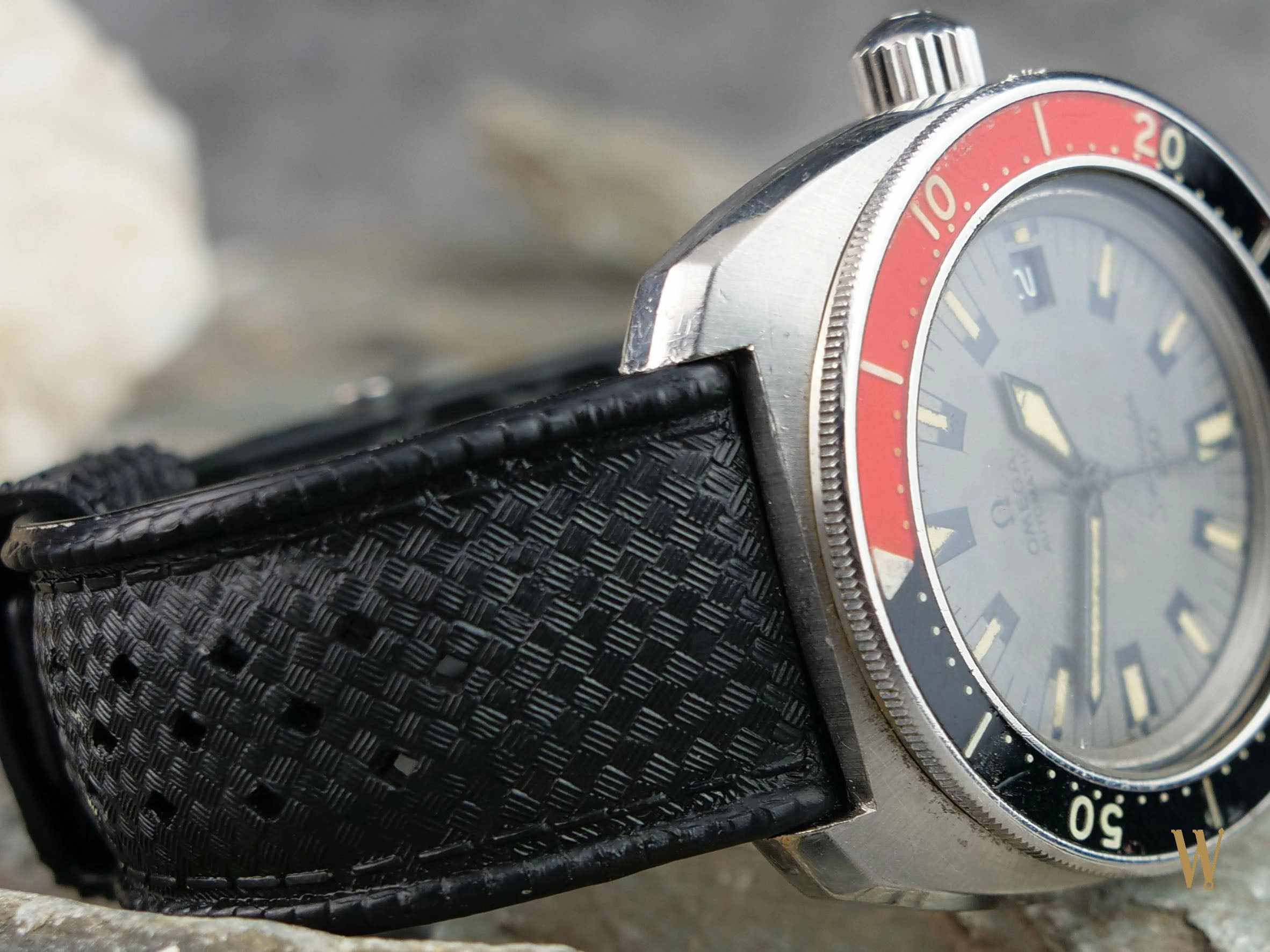 Omega Seamaster 200 Poppy