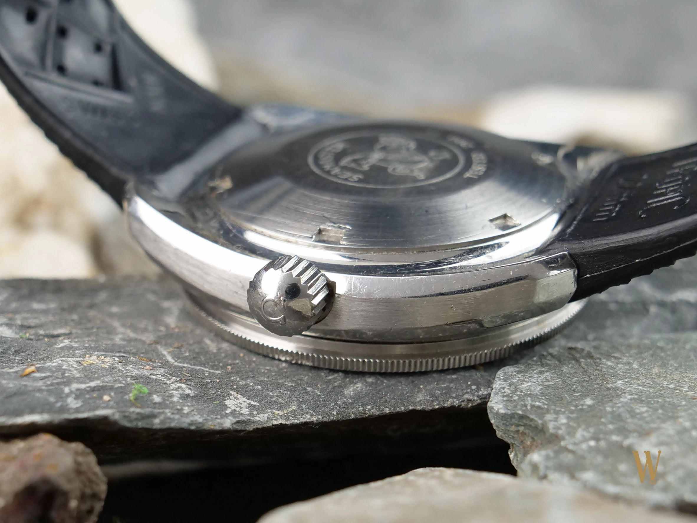 Omega Seamaster 200 Poppy