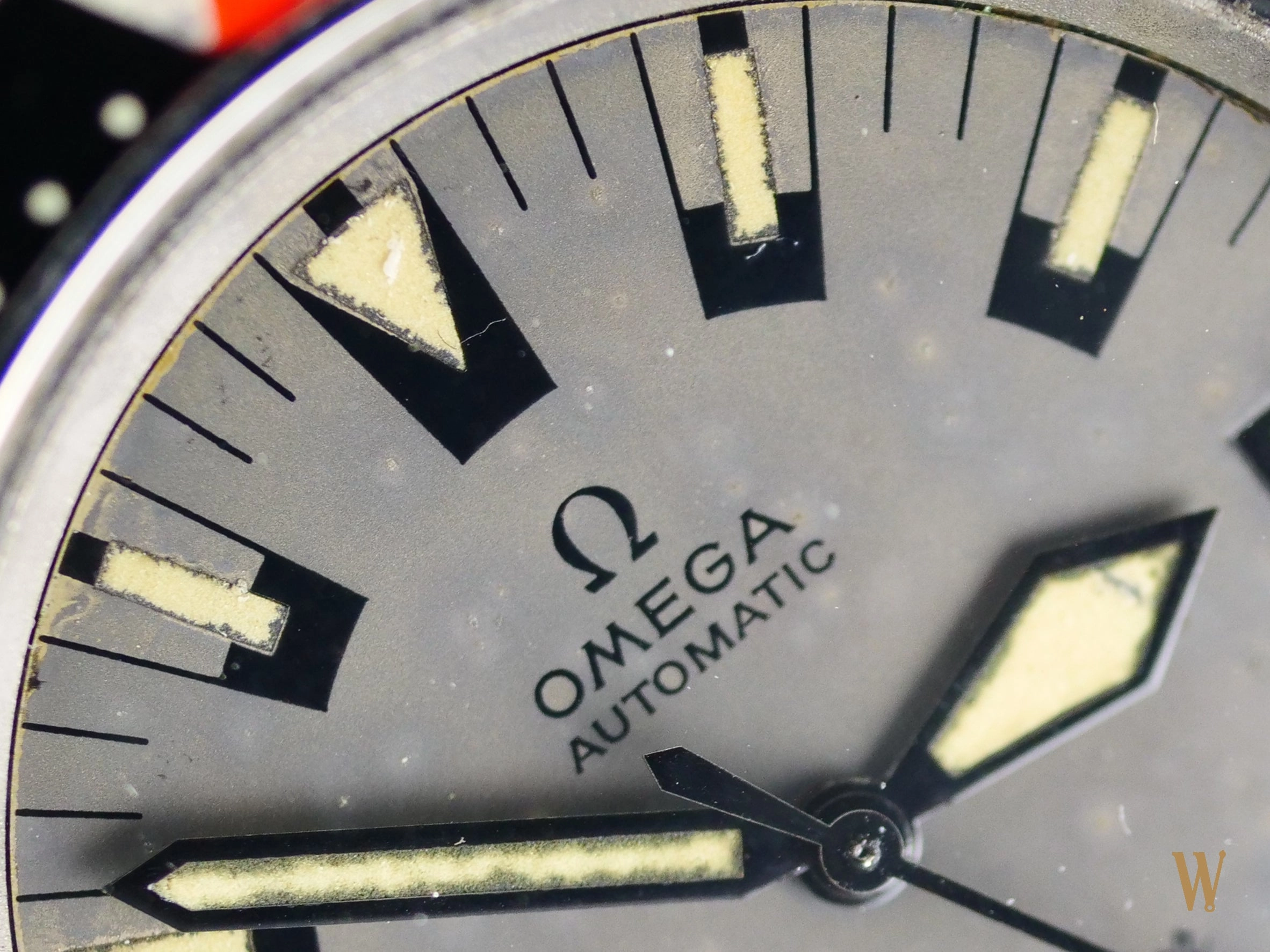 Omega Seamaster 200 Poppy