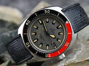 Omega Seamaster 200 Poppy
