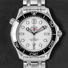Omega Seamaster 21030422004001