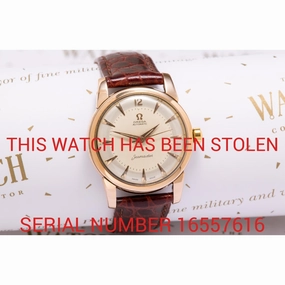 Omega Seamaster rare case back