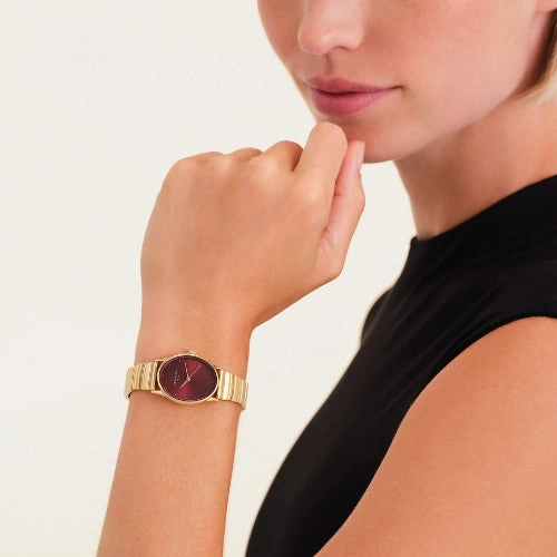 Rosefield | Oval | Sunray | Burgandy | Gold Strap