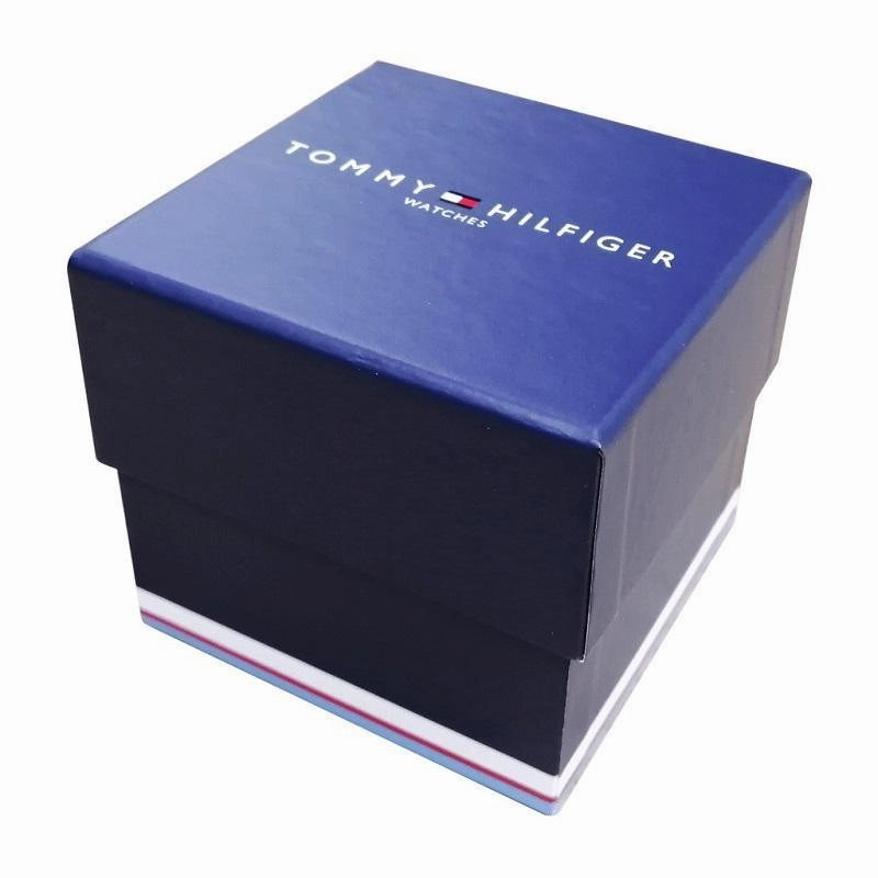 Tommy Hilfiger Lars Mens Day Date Watch 1710651