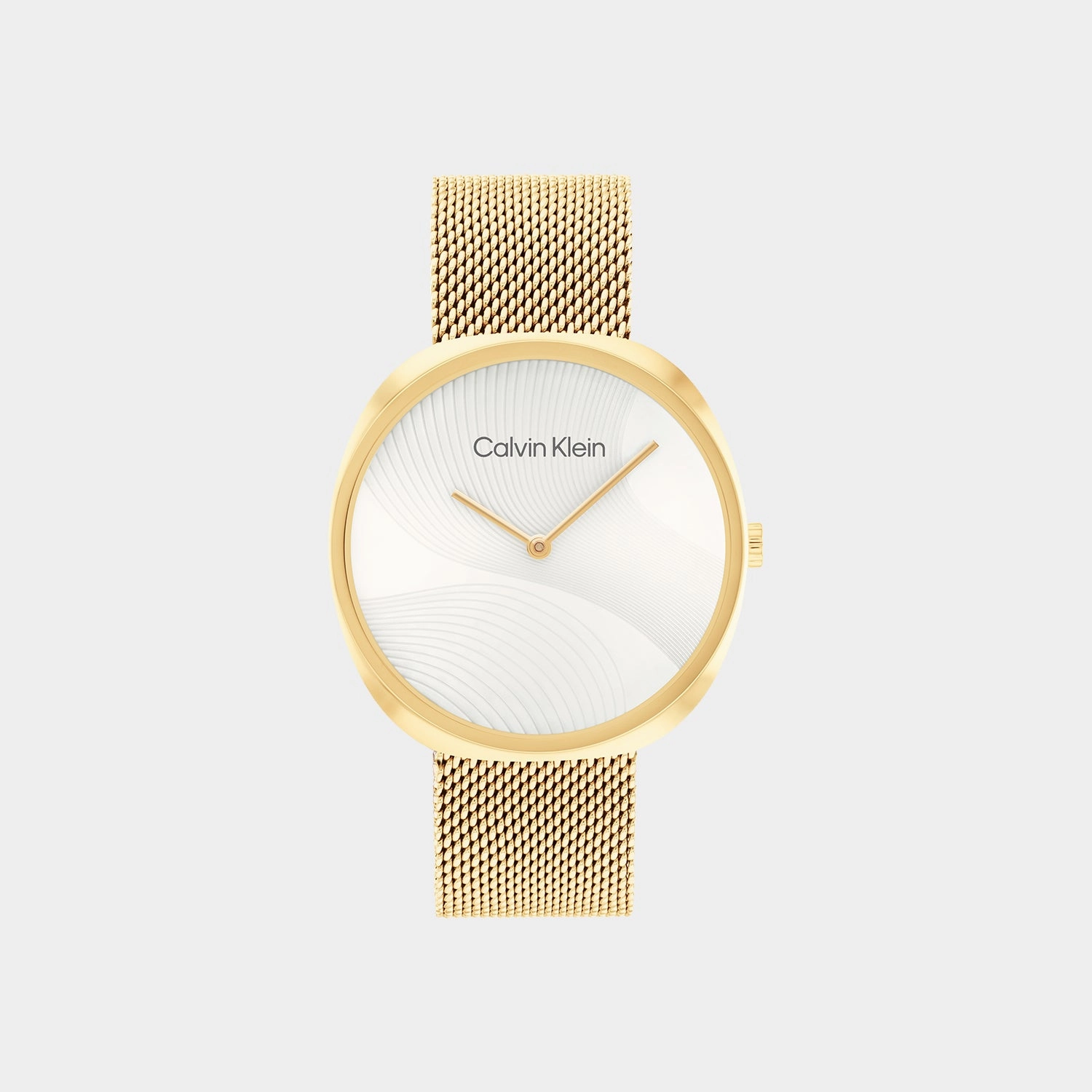 Women Silver Analog Mesh Watch 25200246