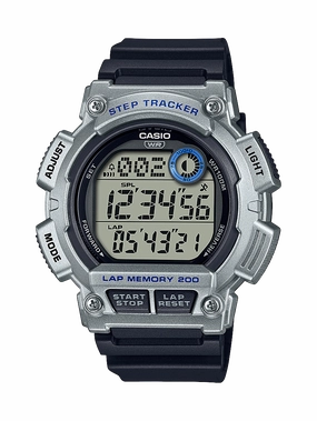 WS2100H-1A2