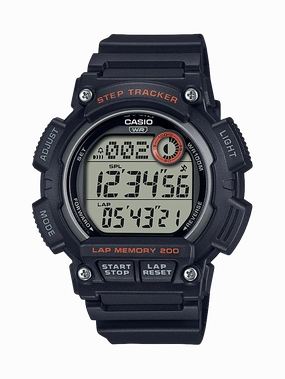 WS2100H-1A